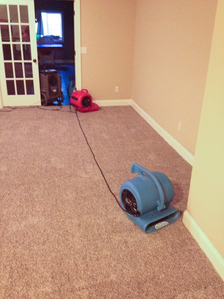 Fans drying carpet